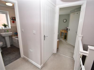 Picture 9
